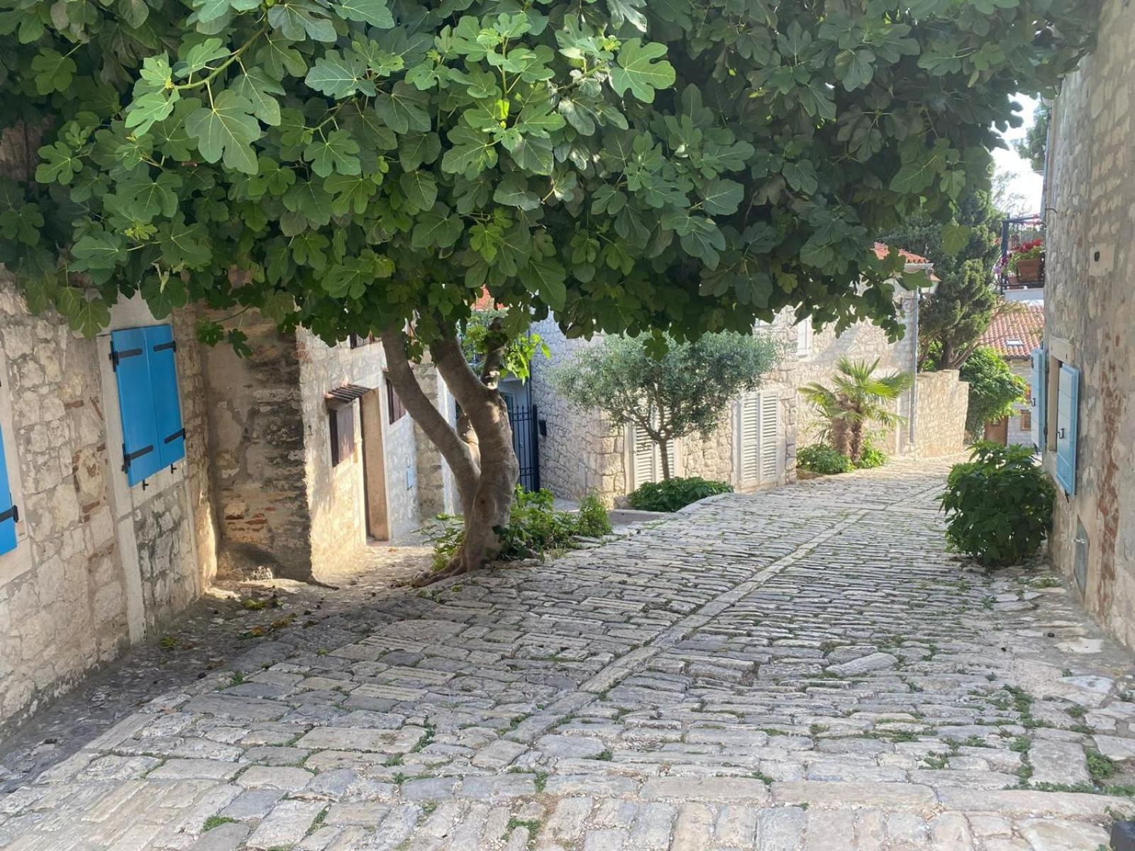 Seaview House Rosali Βίλα Ρόβινι Εξωτερικό φωτογραφία